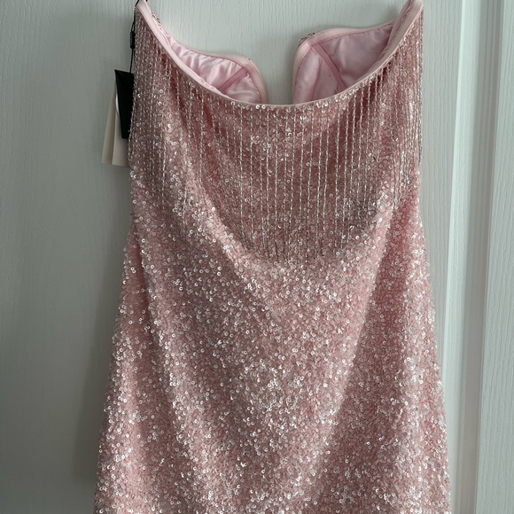 Retrofete Cassandra Sequin Fringe Dress, XL (US10/12) | Pink - Picture 6 of 6